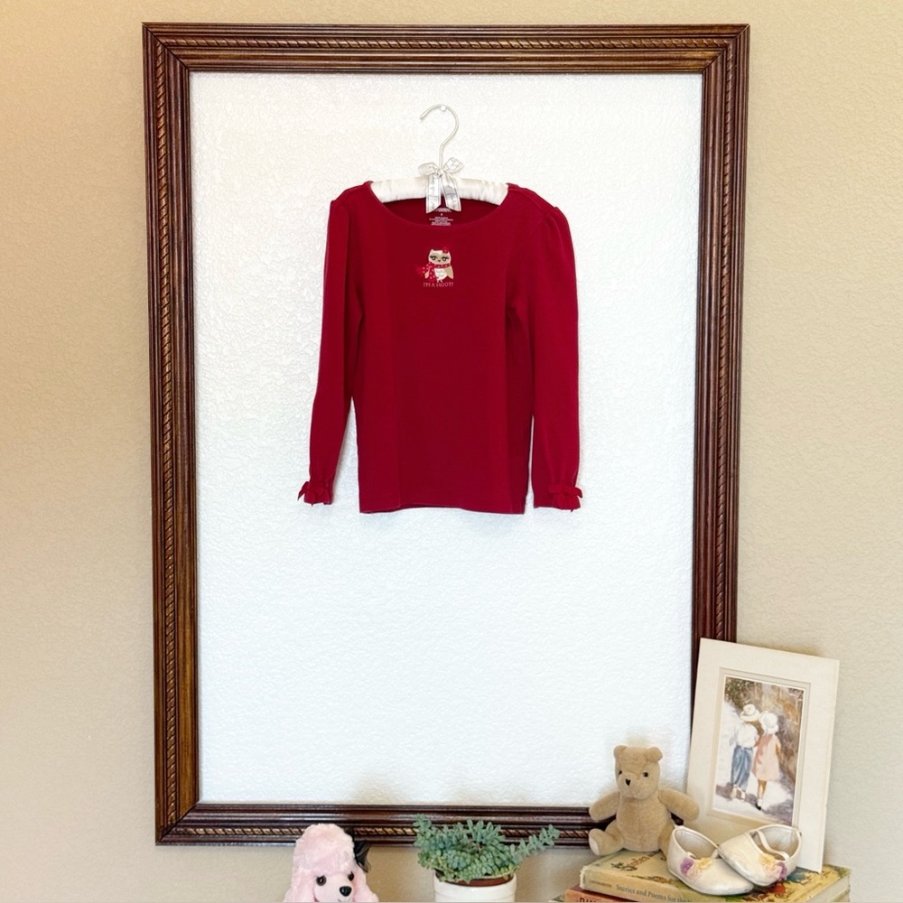 Gymboree EUC 2012 Cozy Owl line Cranberry Red Embroidered Owl LS Tee Size 5